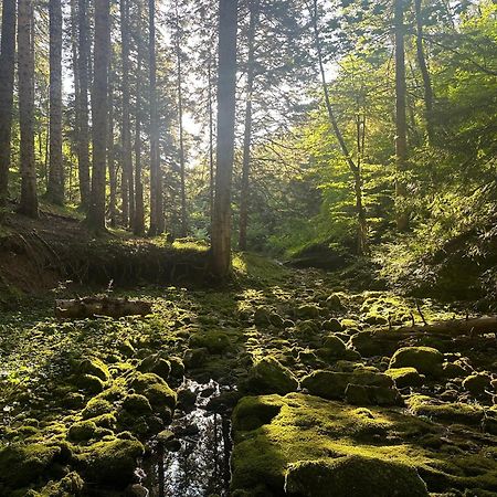 Wild Escape Racha Villa Ambrolauri Eksteriør billede